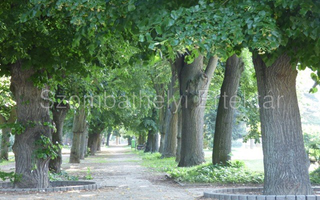 Ezredévi park