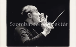 2023 Savaria Szimfonikus Zenekar és Vajda Gergely, fotó: Büki László